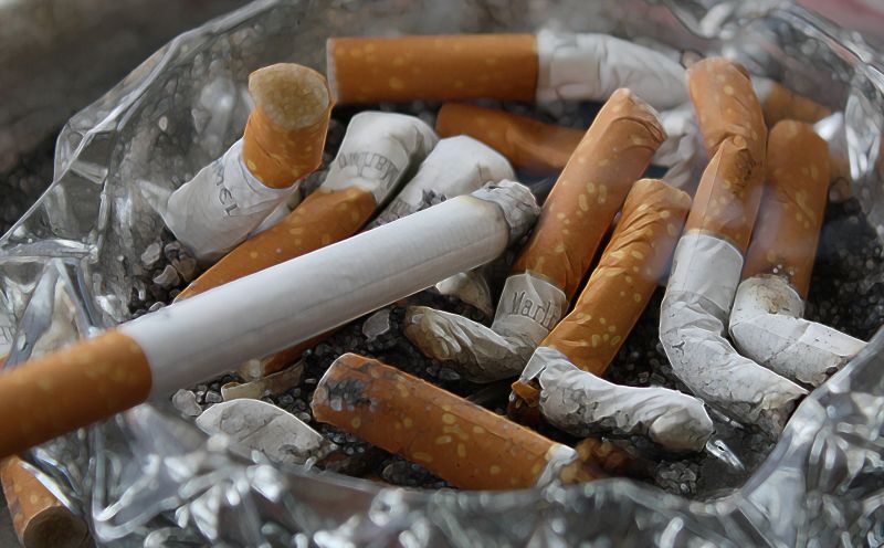 CIGAR 23