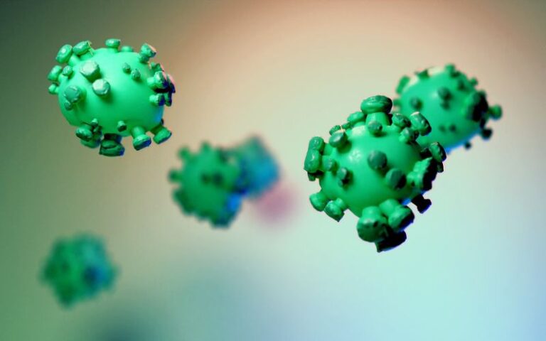 bacteria 4