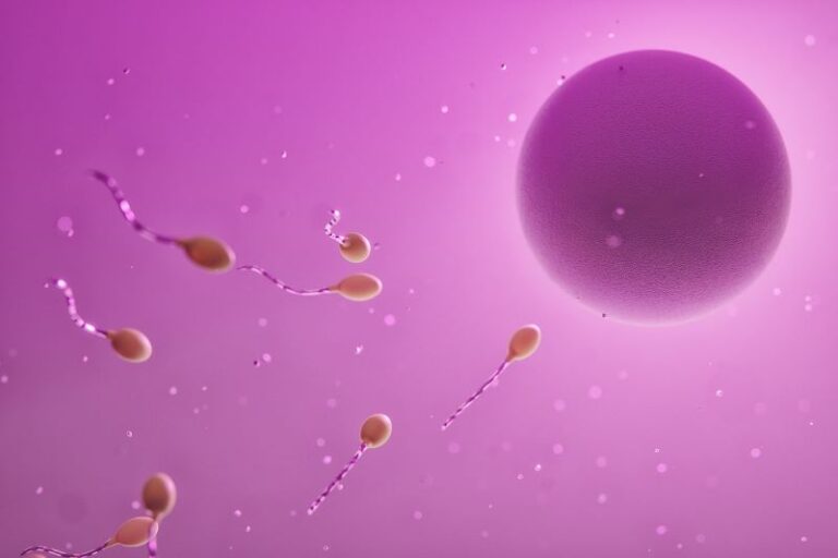 fertility2