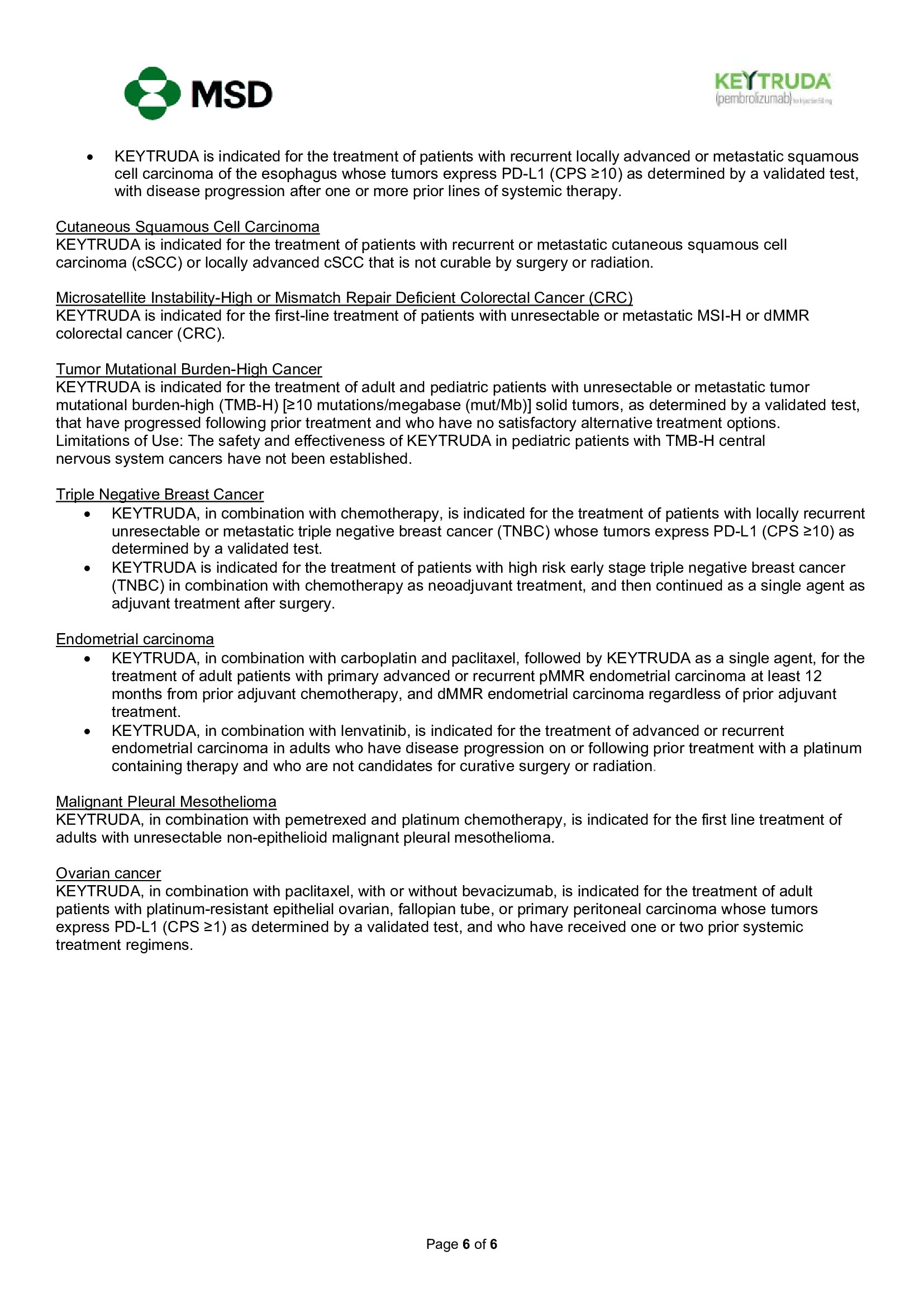 Page 6