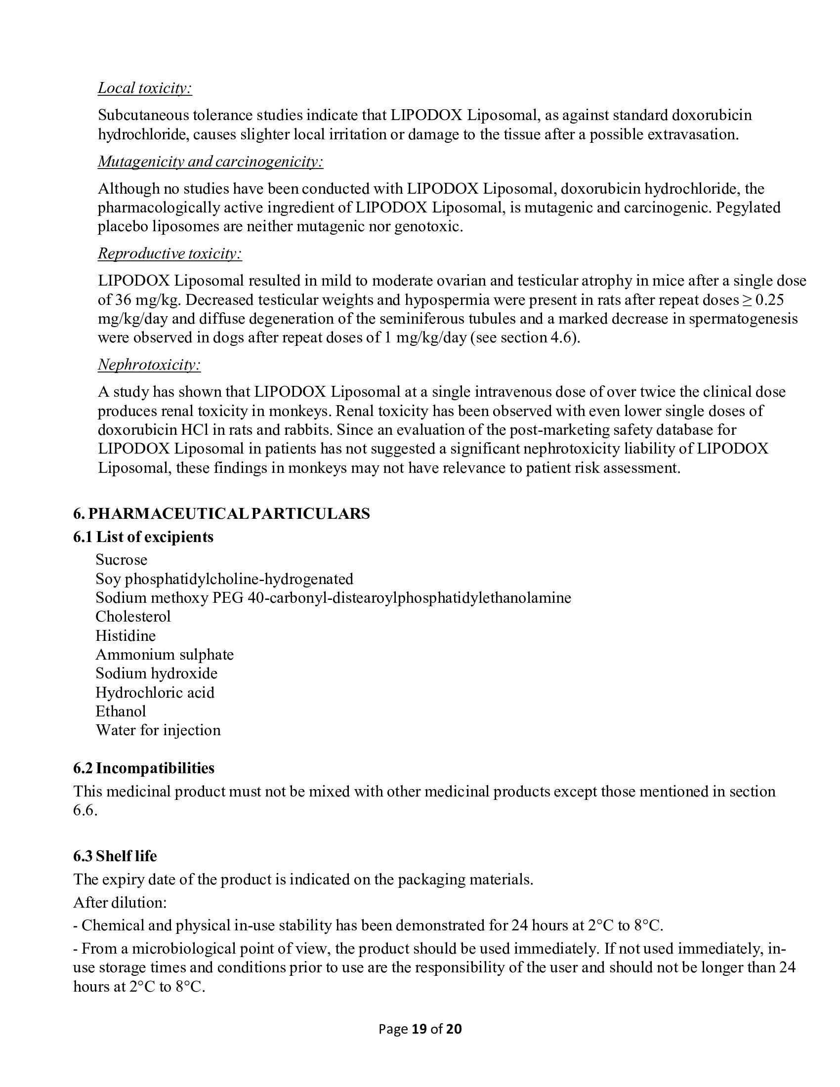 Page 19