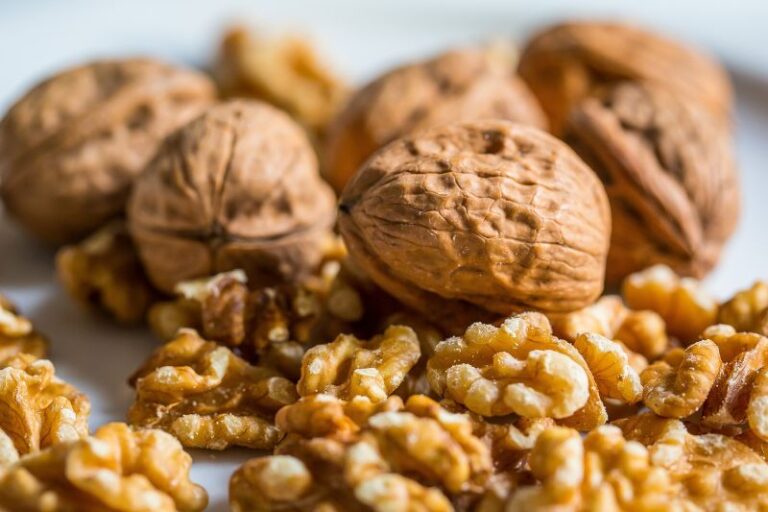 walnut