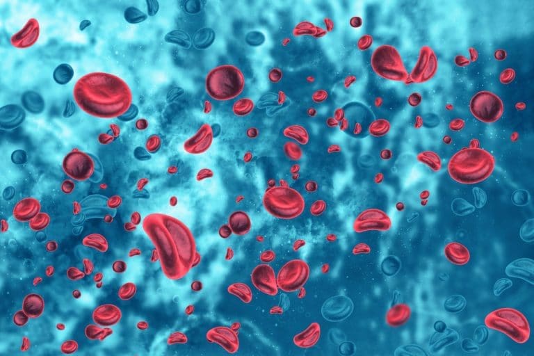 Blood cells