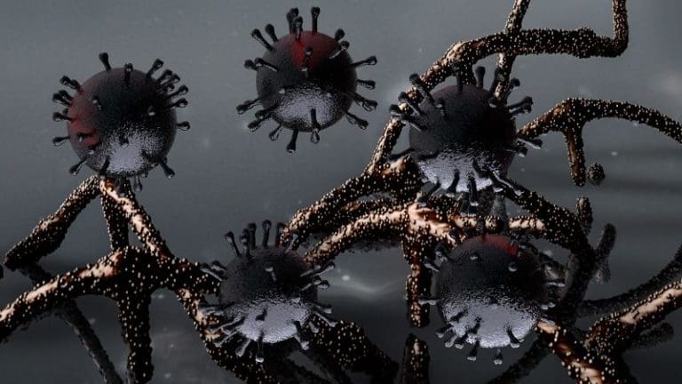 mutation