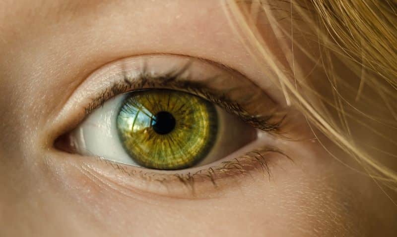 EYE 2
