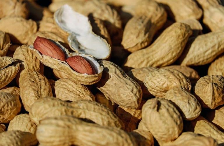 peanut2