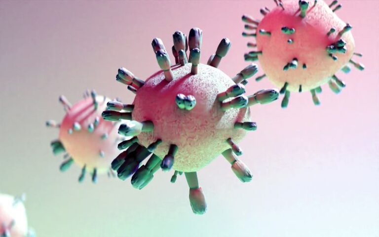 Bacteria11