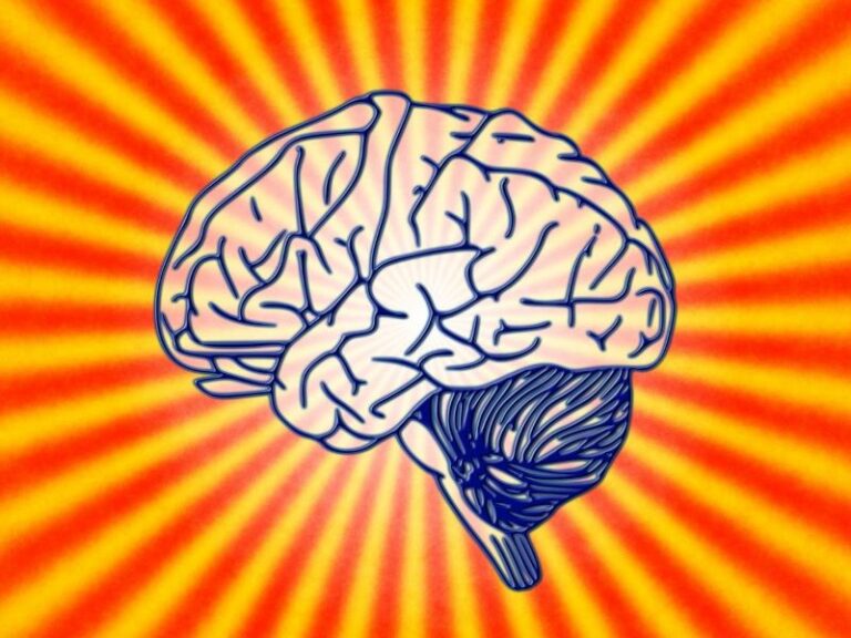 brain4